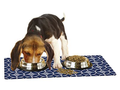 12-x-20-drymate-pet-bowl-placemat-rpmkc-979785.jpg
