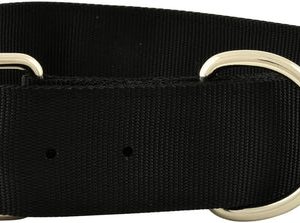 Jeffers 2" Big Dog Collars, 21.5"-26"